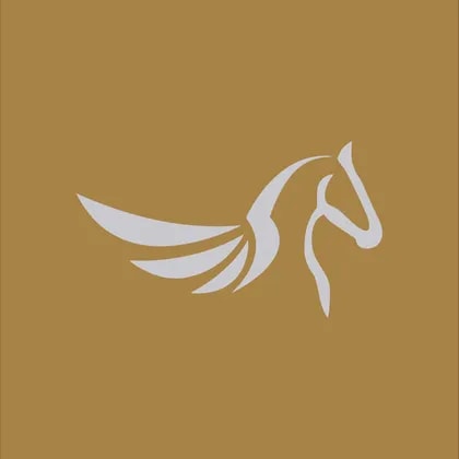 Silver Pegasus Acquisition