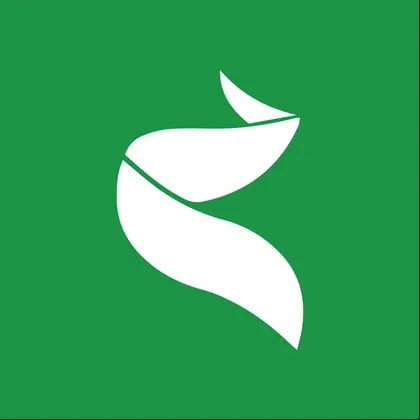 NuEnergy Gas