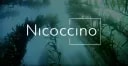 Nicoccino Holding