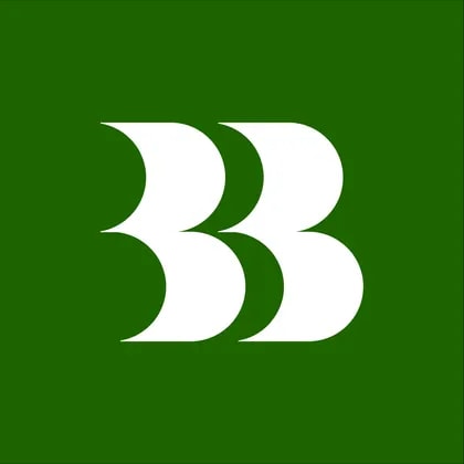 Bellevue Group