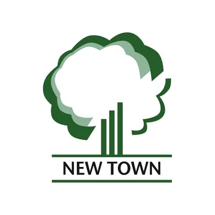 China New Town Development Co