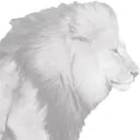 IBI Lion Socimi