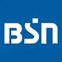 BSN Media holdings