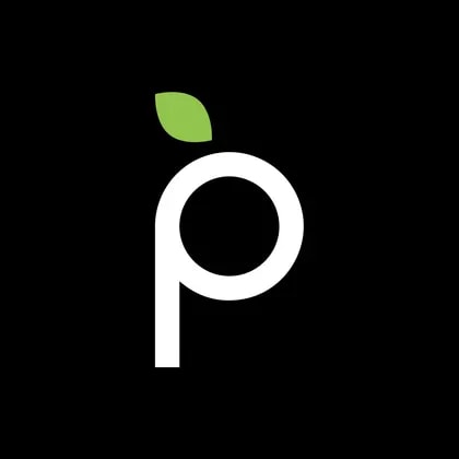 Plum Acquisition Corp IV