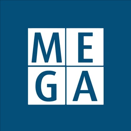 Mega Or Holdings