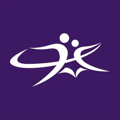 Well Link Securities Holdings