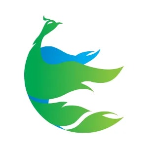 Phoenitron Holdings