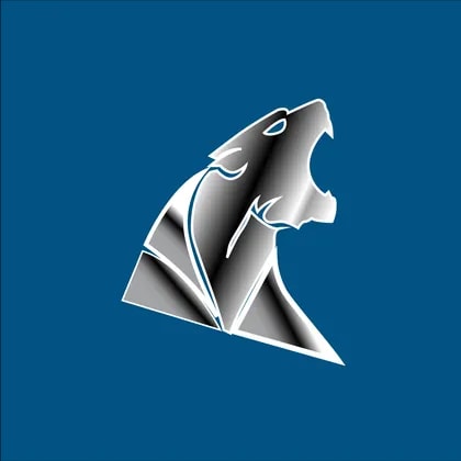 Wildcat Resources