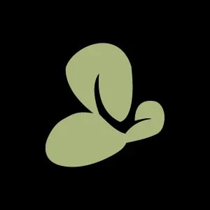 Orchid Island Capital