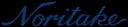 Noritake Co