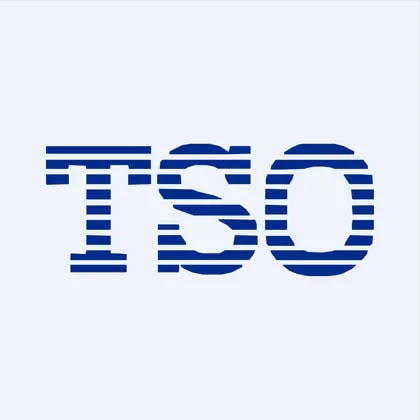 Telecom Service One Holdings