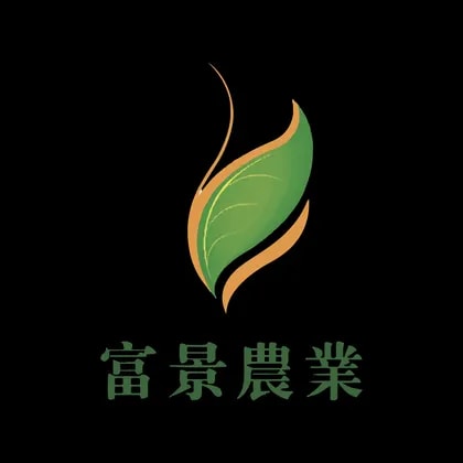 Fujing Holdings Co
