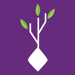 Neurogene