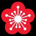 Chinese Maritime Transport