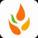 Ceres Inc/Japan