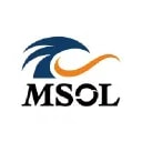 Management Solutions Co