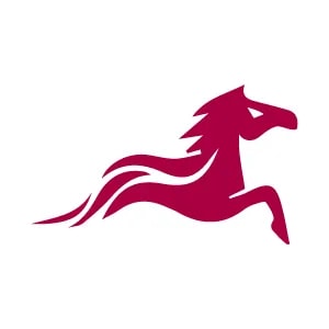 Steed Oriental Holdings Co