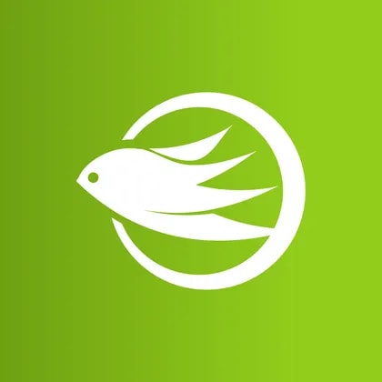 Forgame Holdings