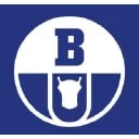 Boryszew