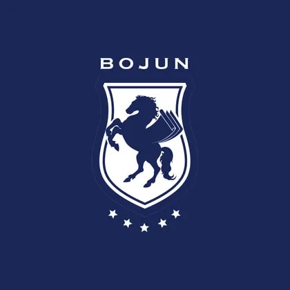 Bojun Education Co