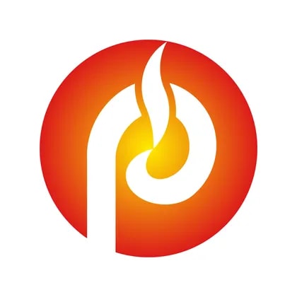 China Primary Energy Holdings