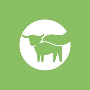Beyond Meat