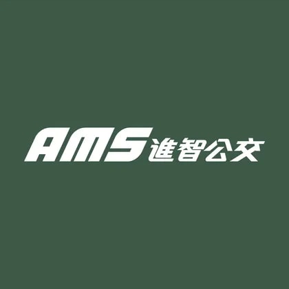 AMS Public Transport Holdings