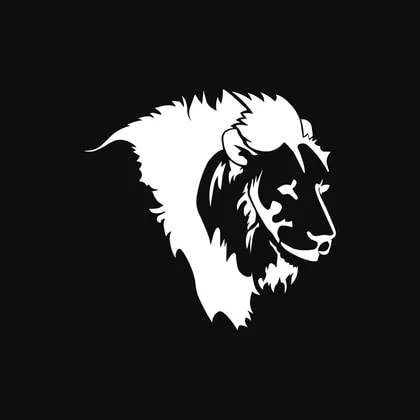 Invictus Energy