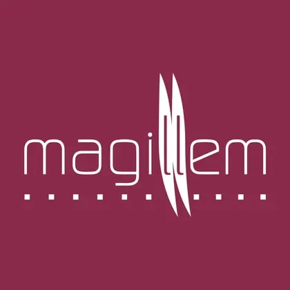Magillem Design Services