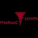 Medical Ikkou Group Co