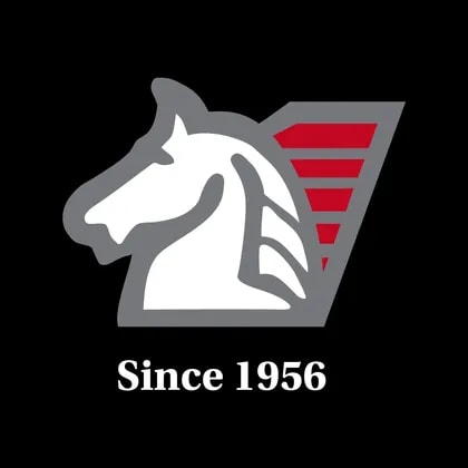 Pegasus International Holdings