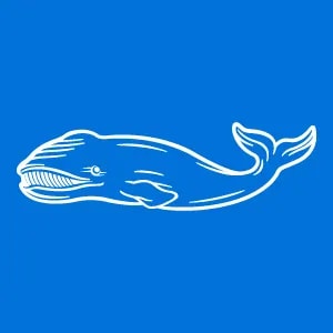 Bowhead Specialty Holdings