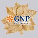 Grupo Nacional Provincial SAB