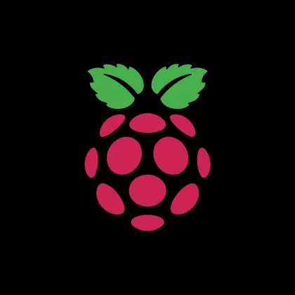 Raspberry Pi Holdings