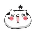 Kyokuyo Co