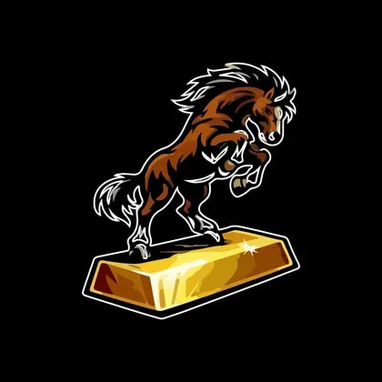 Bronco Resources