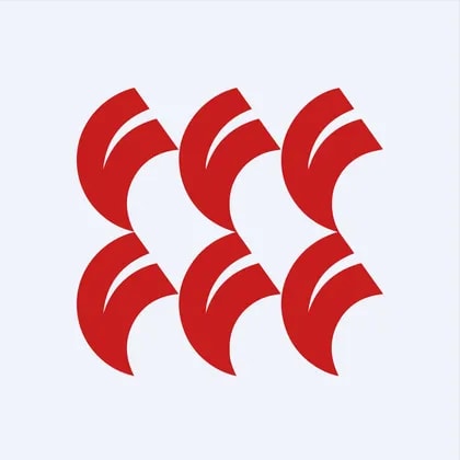 Feiyang International Holdings Group