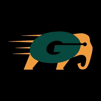 Goodfellow