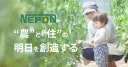 Nepon