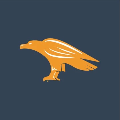 Metal Hawk