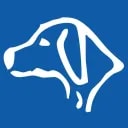Aun Consulting