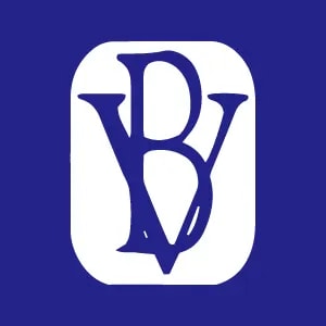 BV Financial