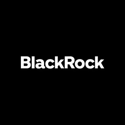 BlackRock Capital Investment