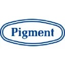 Nippon Pigment Holdings Co