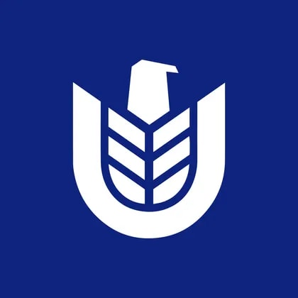 China Strategic Technology Group