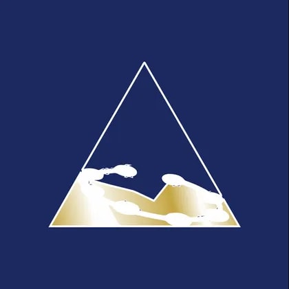 Catalyst Metals
