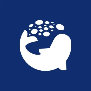 Nocera