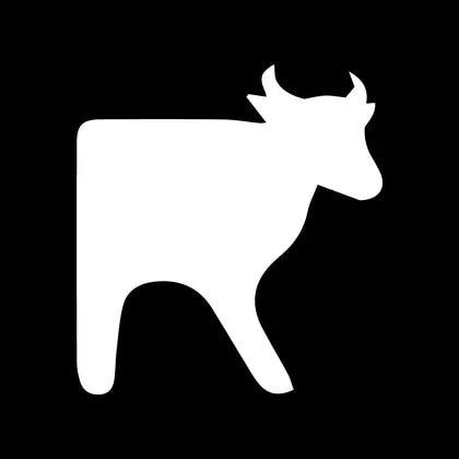MS Concept