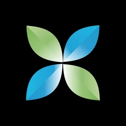 China Renewable Energy Investment