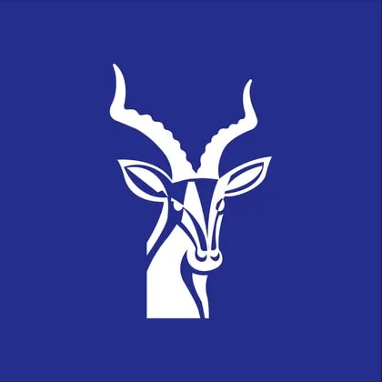 Impala Platinum Holdings